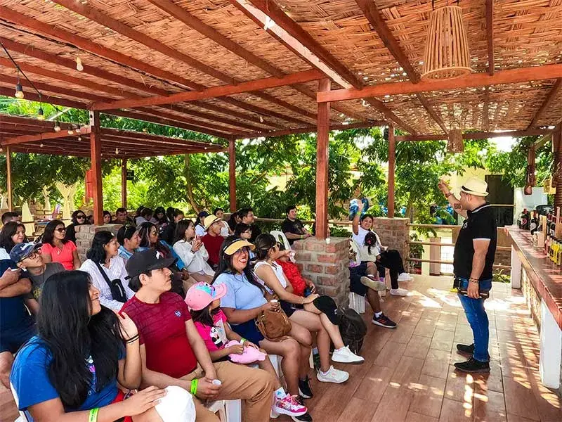 degustación de vinos y piscos nietto