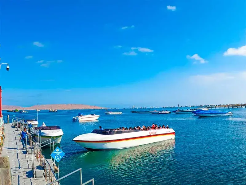 Lancha a Islas Ballestas tour Paracas